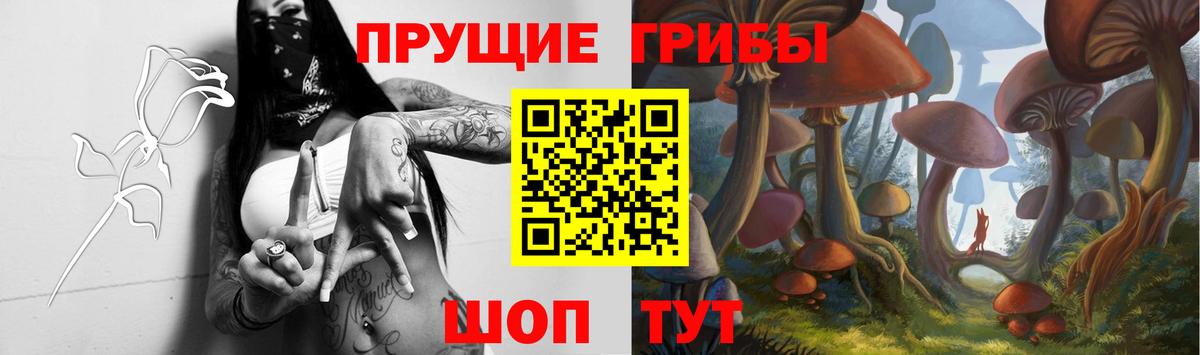 Ангарск  Галлюциногенные грибы мицелий  Вход с VPN 